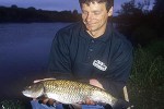 squalius cephalus squalius cephalus