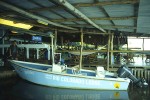 08 costa rica