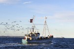 01 oresund