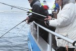 03 oresund