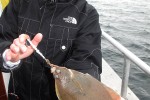 06 oresund