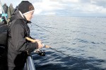 17 oresund