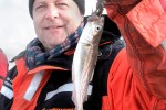 34 oresund