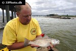 sciaenops ocellatus sciaenops ocellatus
