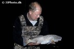 sciaenops ocellatus sciaenops ocellatus
