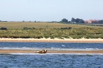 15 norfolk   brancaster