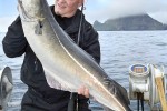 27 faroes 27 faroes