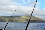37 faroes 37 faroes