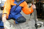 40 faroes vestmanna 40 faroes vestmanna