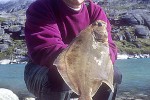 hippoglossoides platessoides hippoglossoides platessoides