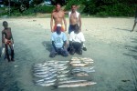 20 gambia