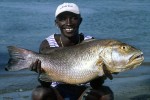 22 gambia
