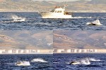 65 gibraltar 65 gibraltar