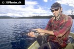 thymallus thymallus thymallus thymallus