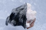19b maniitsoq sukkertoppen 19b maniitsoq sukkertoppen