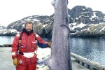 30 maniitsoq sukkertoppen 30 maniitsoq sukkertoppen