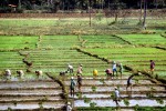 06 karnataka