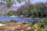 10 karnataka   kaveri river