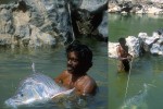 40 karnataka   kaveri river