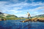 20 lapland wild trout 20 lapland wild trout