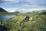22 lapland wild trout 22 lapland wild trout