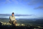 50 lapland wild trout 50 lapland wild trout