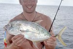 carangoides fulvoguttatus carangoides fulvoguttatus