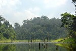 13 temenggor lake 13 temenggor lake