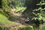 19 temenggor lake 19 temenggor lake