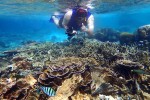071 malaysia 2018