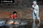 arapaima species aff gigas