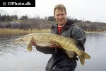 esox lucius esox lucius