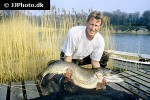 esox lucius esox lucius