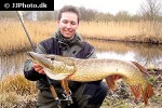 esox lucius esox lucius