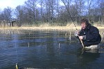 esox lucius esox lucius