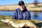 esox lucius esox lucius