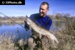 esox reichertii esox reichertii