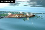 oncorhynchus keta oncorhynchus keta