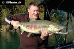 oncorhynchus keta oncorhynchus keta