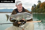 oncorhynchus keta oncorhynchus keta