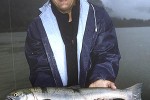 oncorhynchus nerka oncorhynchus nerka
