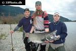 oncorhynchus tshawytscha oncorhynchus tshawytscha