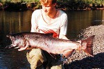 oncorhynchus tshawytscha oncorhynchus tshawytscha