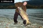 oncorhynchus tshawytscha oncorhynchus tshawytscha