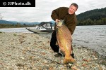 oncorhynchus tshawytscha oncorhynchus tshawytscha