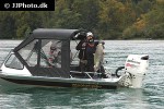 oncorhynchus tshawytscha oncorhynchus tshawytscha