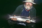 salmo salar salmo salar