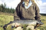 salmo salar salmo salar