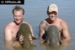silurus glanis silurus glanis