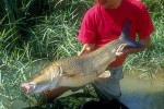 14 castilla la mancha   guadiana river